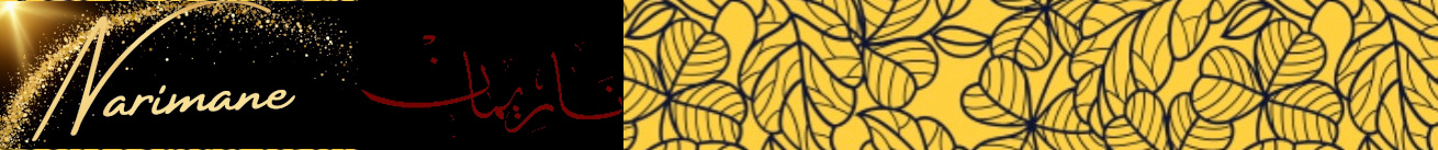 bannière narimane-danse.com